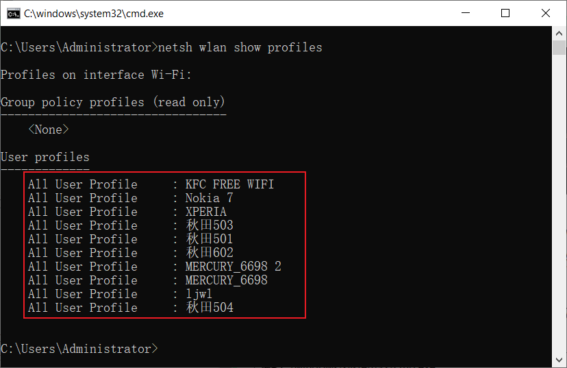 netsh wlan show profiles